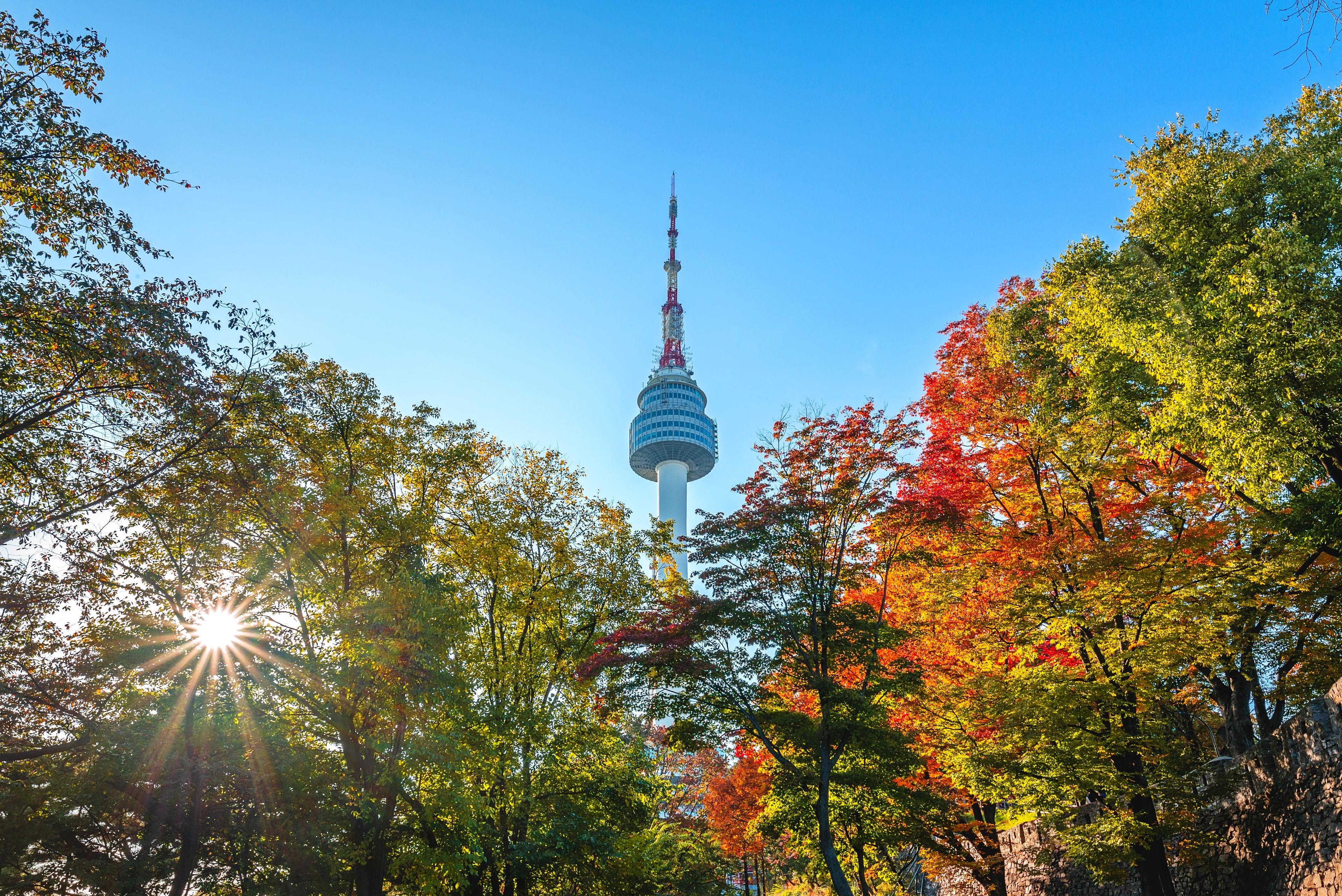 TOUR 5N4D - SEOUL - NAMI - EVERLAND