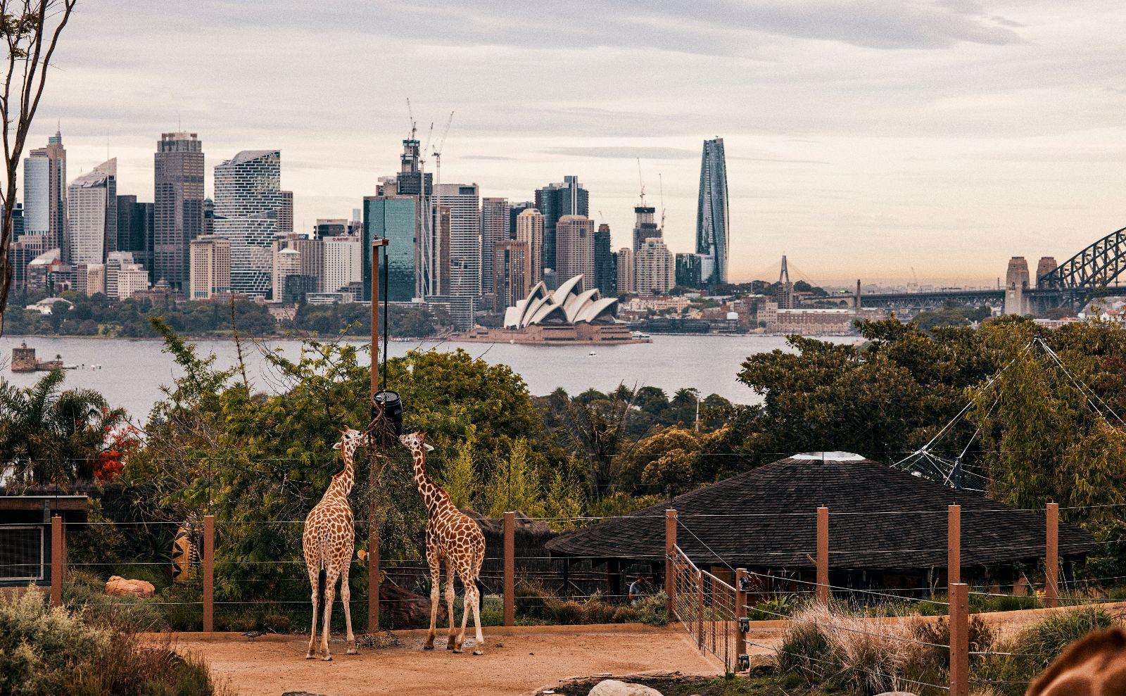 182494-109-Taronga-Zoo-Sydney