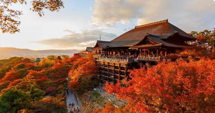 TOUR TẾT NHẬT BẢN: CUNG ĐƯỜNG VÀNG OSAKA - KYOTO - NÚI PHÚ SĨ - TOKYO