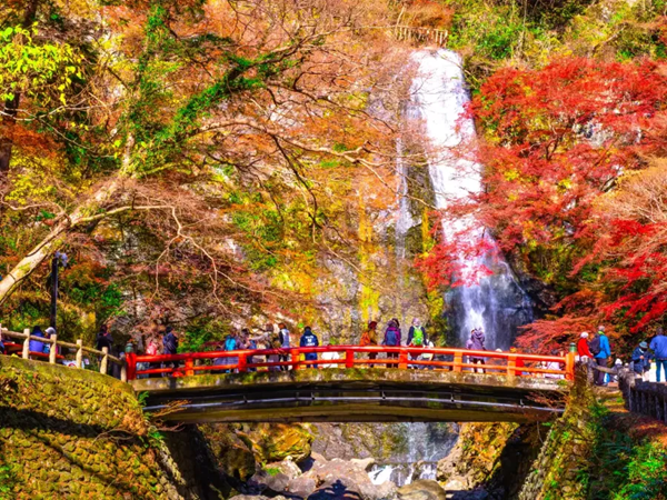 TOUR NHẬT BẢN - CUNG ĐƯỜNG VÀNG: OSAKA - KYOTO - PHÚ SĨ - TOKYO