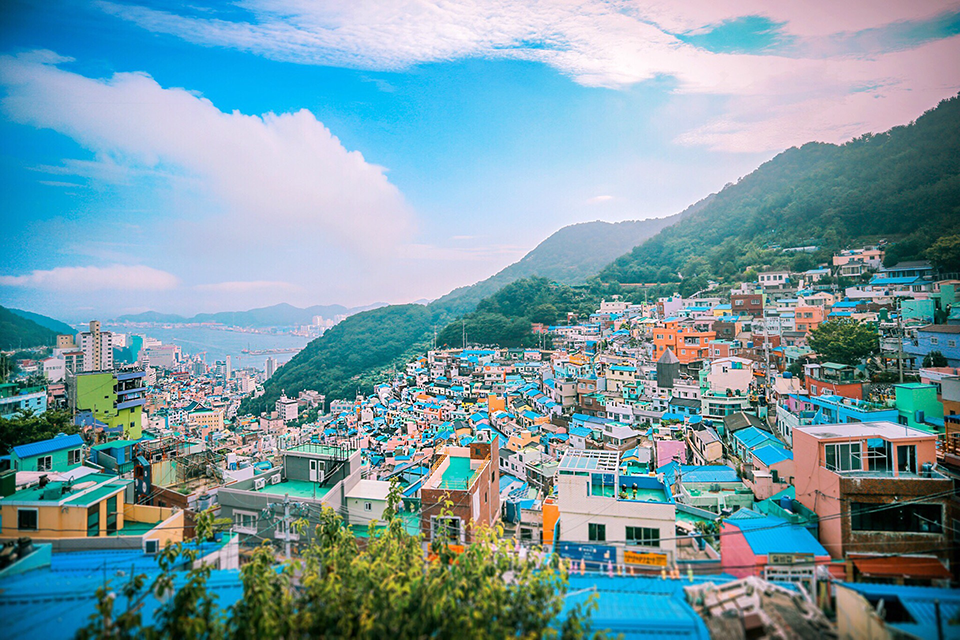 lang-bich-hoa-gamcheon-dia-diem-du-lich-busan-mua-he.png