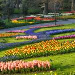 TOUR 9N8Đ TÂY ÂU : ĐỨC – HÀ LAN – BỈ – PHÁP – THỤY SĨ – Ý