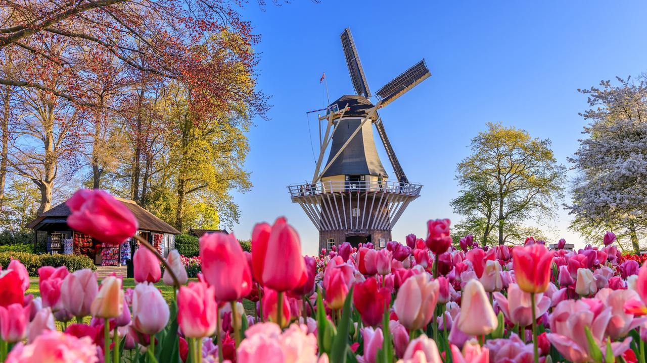 TOUR 10N9Đ TÂY ÂU: ĐỨC - HÀ LAN - BỈ - PHÁP - THỤY SĨ - Ý