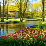 TOUR 10N9Đ TÂY ÂU: ĐỨC - HÀ LAN - BỈ - PHÁP - THỤY SĨ - Ý
