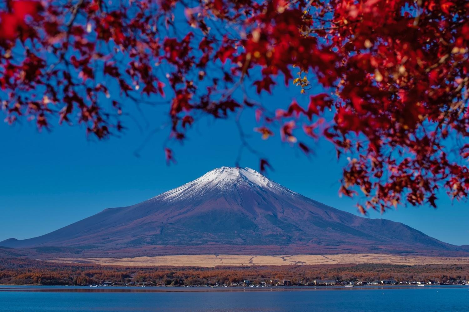 mt-fuji-autumn.jpg