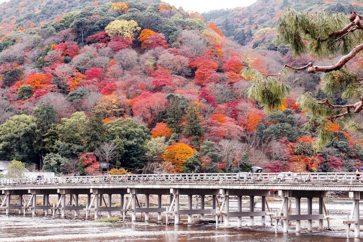 TOUR TẾT NHẬT BẢN: CUNG ĐƯỜNG VÀNG OSAKA - KYOTO - NÚI PHÚ SĨ - TOKYO