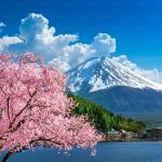 TOUR NHẬT BẢN 4N4Đ: TOKYO – YAMANASHI – PHÚ SĨ - TOKYO DISNEYLAND – NARITA